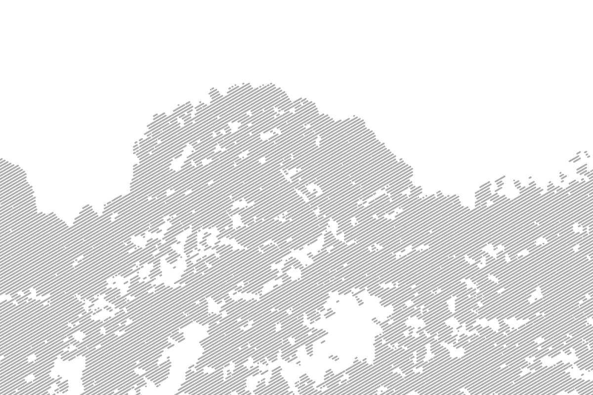 Tonal landscape translated into directional line structures